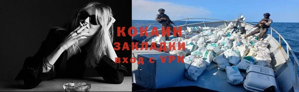 ГАЛЛЮЦИНОГЕННЫЕ ГРИБЫ Чердынь