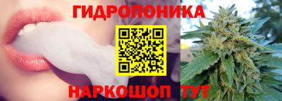 спиды Кинель
