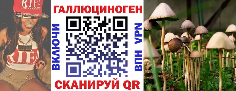 Галлюциногенные грибы MAGIC MUSHROOMS купить цена Хасавюрт