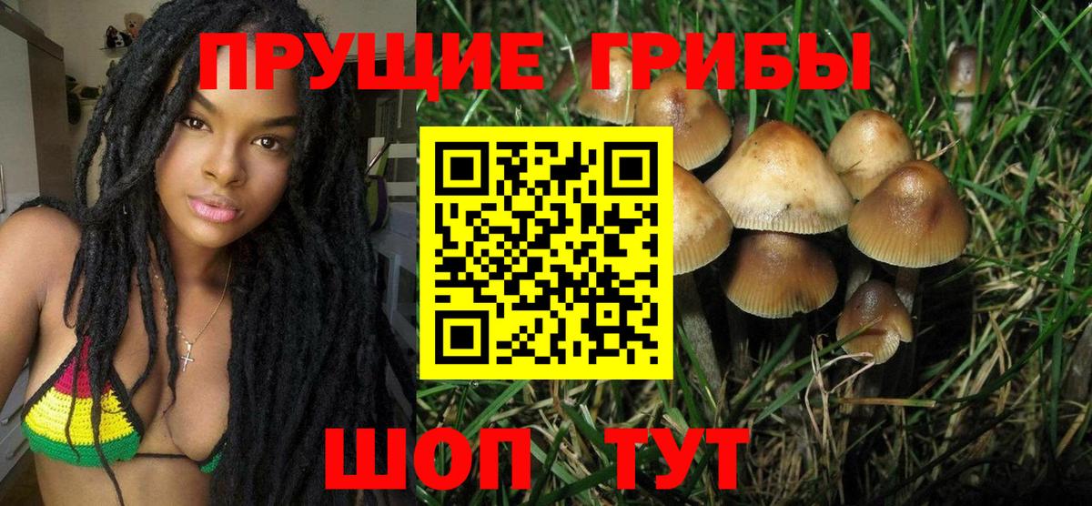 Псилоцибиновые грибы прущие грибы  купить наркотик  Хасавюрт  Вход с VPN 