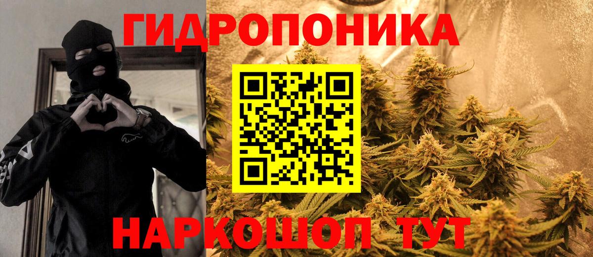 Хасавюрт  Марихуана Amnesia  Бошки Шишки ГИДРОПОН  Вход с VPN 